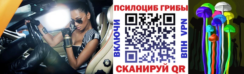 Псилоцибиновые грибы мицелий  Купить где  Ангарск 